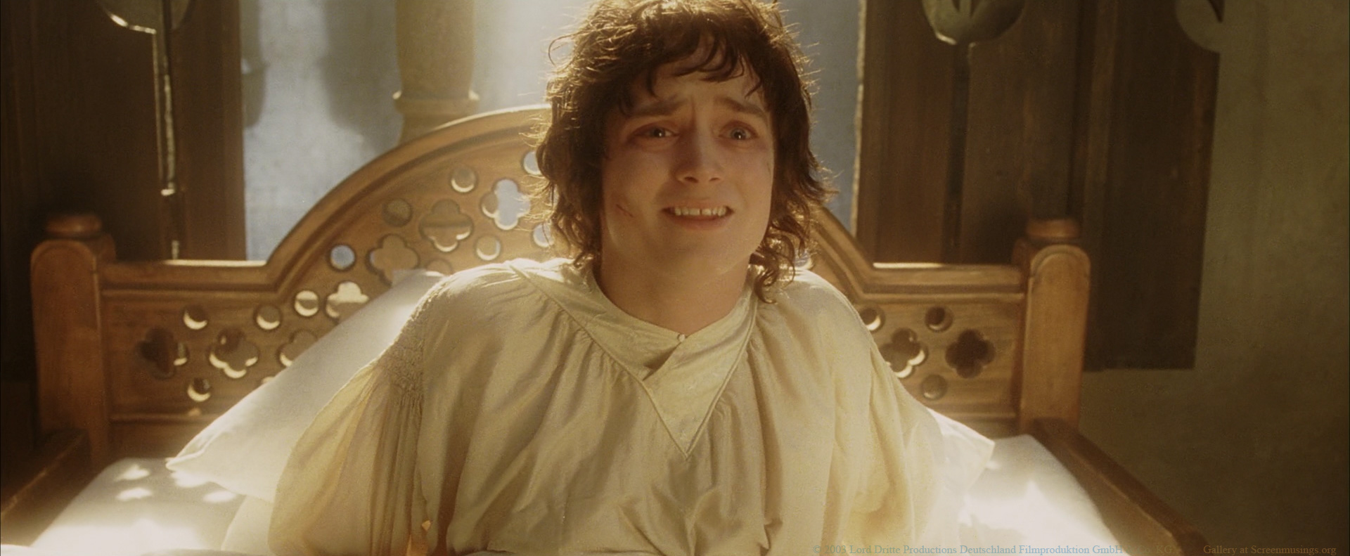 Frodo Baggins